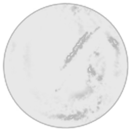 Lunar Enterprises
