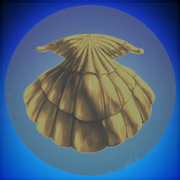 3rd Shell