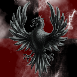 Rising Phoenix Inc.