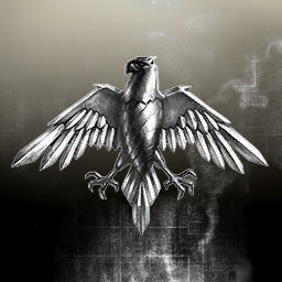 Nighthawk Inc