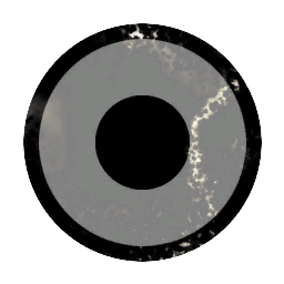 Cryptonomicorp