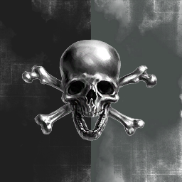 Zystem Raiders