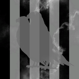 Corvus Ltd
