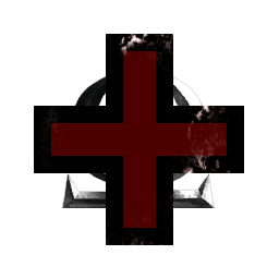 1st Swiss WiseAsses Team