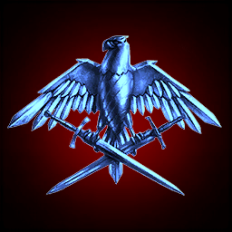 The Caldari Air Force