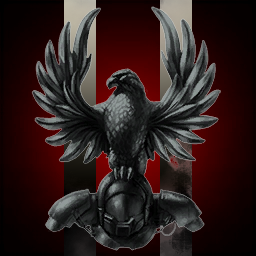 345th HFS SILVERHAWKS