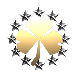 The Irish Wardens
