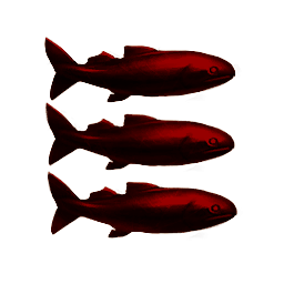 R136a1