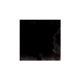 Endymion Inc