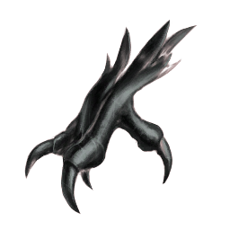 Club Feral