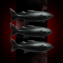 Unseen Barracudas