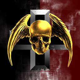 Death Skull Marauders