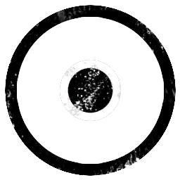New Moon Rising