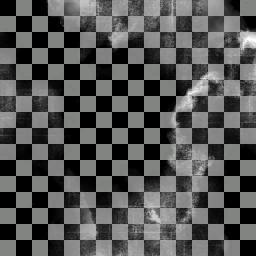 Black Caps Supporters Club