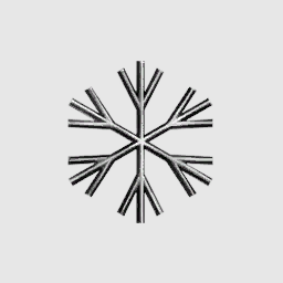 Unique Snow Flake Society