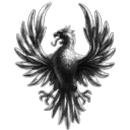 IntenseTrans Inc.