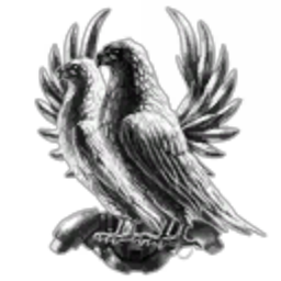 The Space Birds