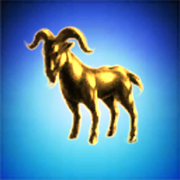 Belka's Whooy Limited