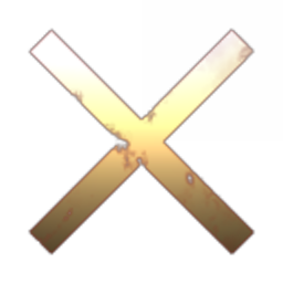 Section X