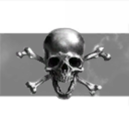 Silver Skull Crew
