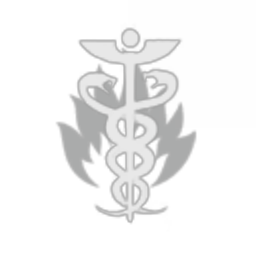 Invisible Speculum