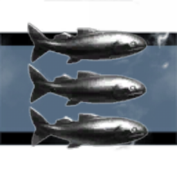 Sticky Fish Warehouse