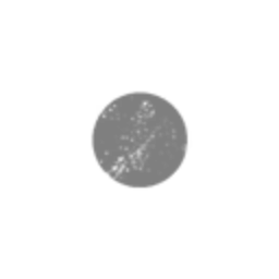 Black Hole Industrial Holdings