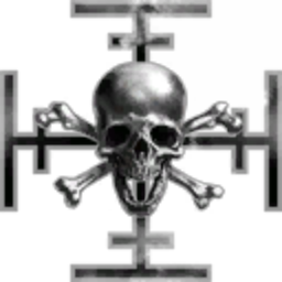 mercenaire et piraterie institution