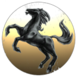 Black Stallion Enterprises