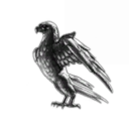 We Play for The Game