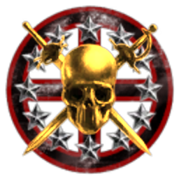 Task Force 13