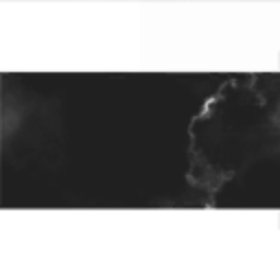 Syras Corp