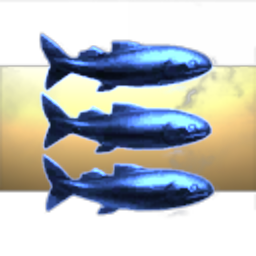 In Space Fishing Company