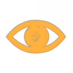 The Asteroids Have Eyes