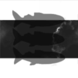 Black Calvus