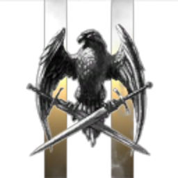 Vigilant Fighters