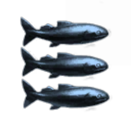 Zephyr Fishhead Corporation