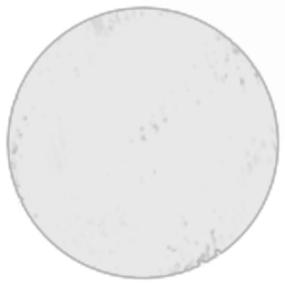 embryonix Corporation