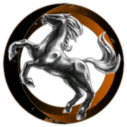 Wild Stallions