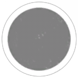 Tha Moon rulez
