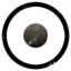 Terra Nova Research