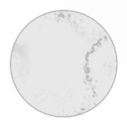 Moon MMXIII