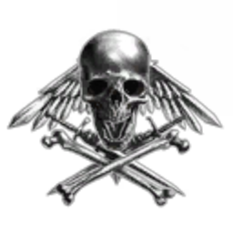 13th Outer Haven Fighter Divison