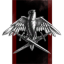 13Th Squadron Academy