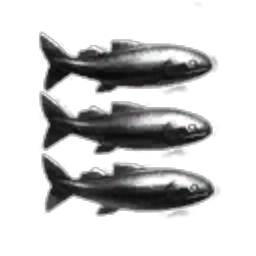 Shark Enterprises