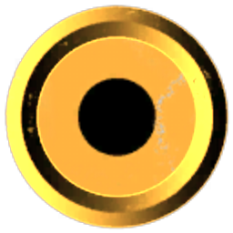 Holdz Donuts