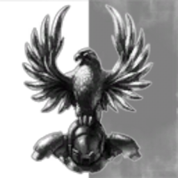Caldari Security Fleet