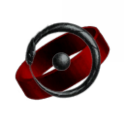 Singularity Dynamics