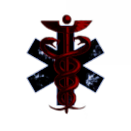 Capital Solutions Inc.