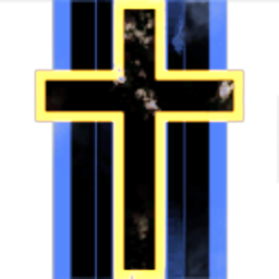 The Imperial Knights Templar